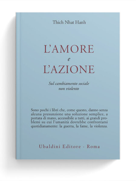 L'amore e l'azione. Sul cambiamento sociale non violento